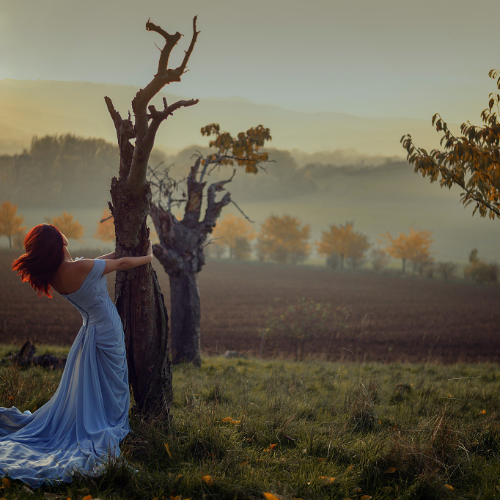 wallhaven-n6v27l_50…