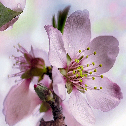 Z9KzCEkWDw7g - kopi…